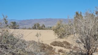 2023-GC--Mapalomas dunas-S123-144.jpg